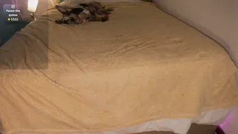 Ivy_ragnar ahegao 09 December 2025