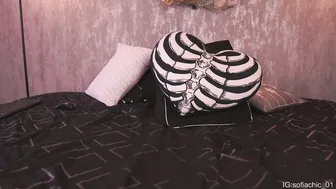 sofiachic video cam porn chat video