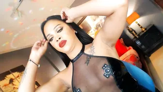 urmajestytyra 12/11/2025