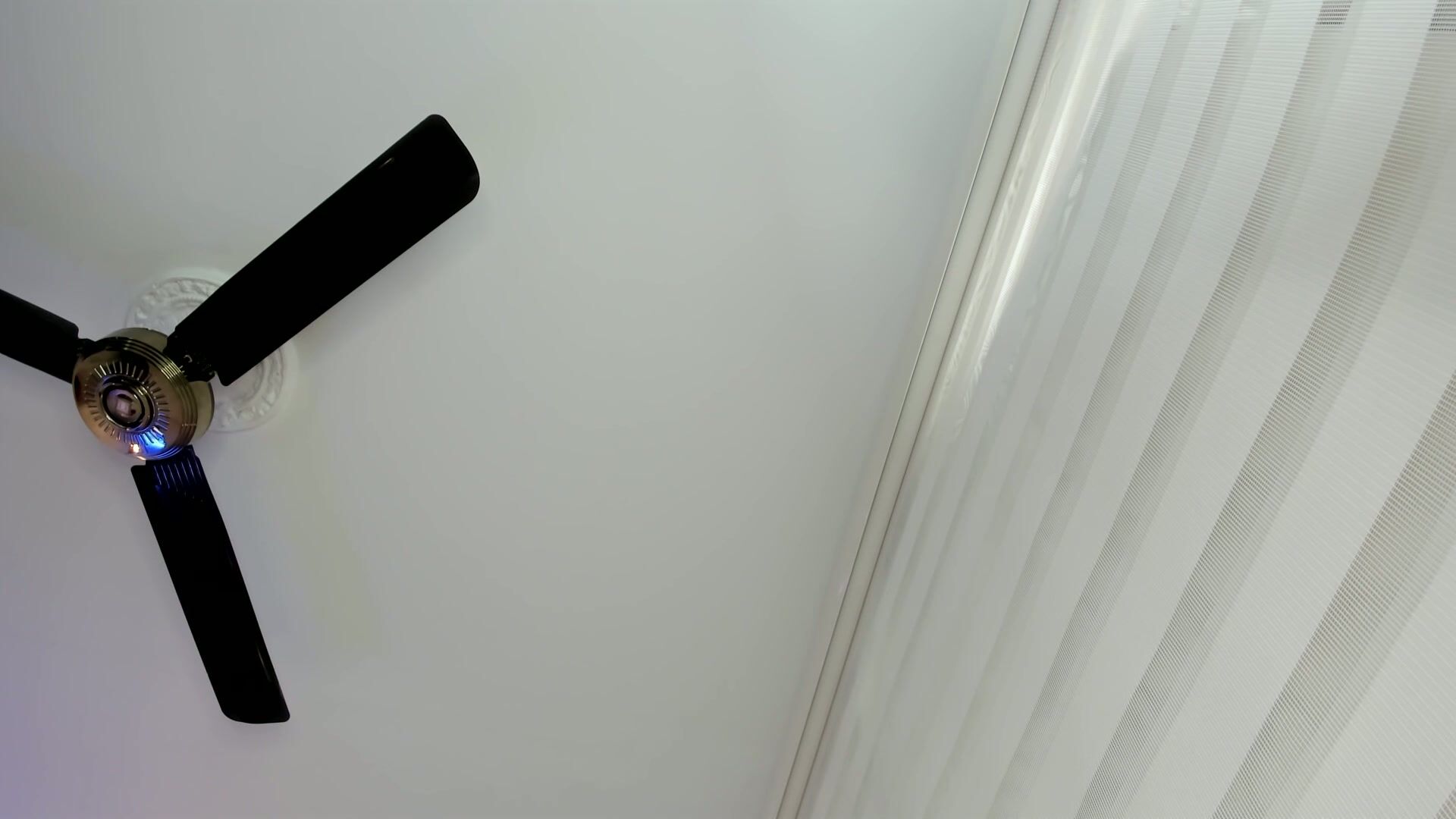 Velveet_ latina hot webcam porn video