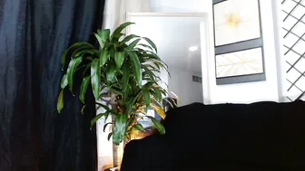 mariaa_antonia1 recorded nude video 46619