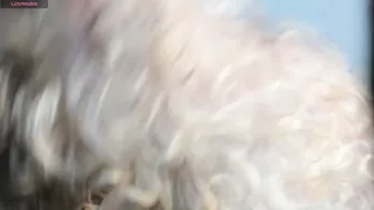 roxanamariahills_ cam porn 14-Dec-2025