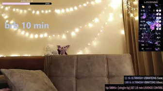 Nightpurr (12-19-2025)