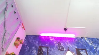 nati_fresh moneyslave - 20-Dec-2025