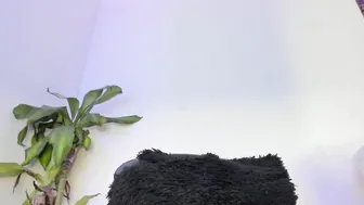 Lucyshen_ amateur webcam video - (12-21-2025)