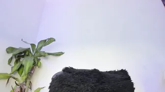 Lucyshen_ amateur webcam video - (12-21-2025)