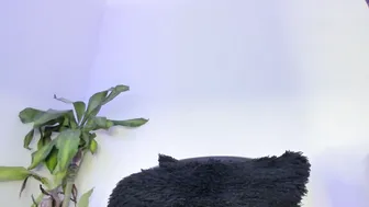 Lucyshen_ amateur webcam video - (12-21-2025)