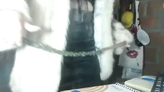 eskelaswd recorded nude video 496915