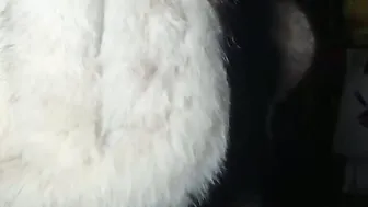 eskelaswd recorded nude video 499979