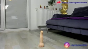 amalianilsson 2024-10-25 17:06:31