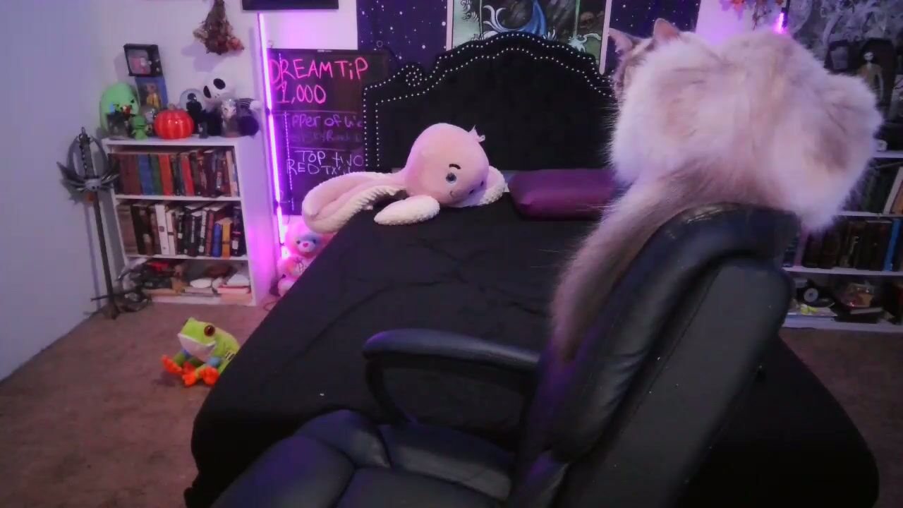 faeofmyth cam sex chat (12/22/2025)