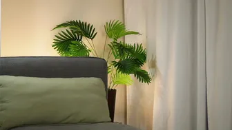 akumadadrive 23-Dec-25 premium porn