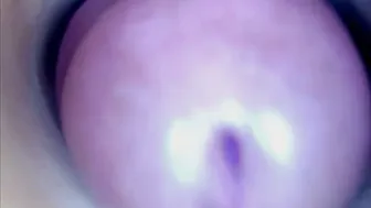 Paulainoscente video (12/24/2025)