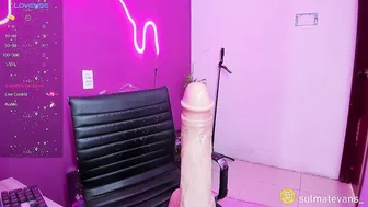 sulmatevans_ 06-11-2025 anal