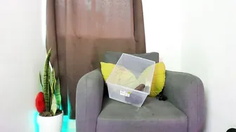 nyalgasai1 recorded nude video 511704
