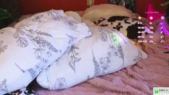 Soft_animal video 12-26-2025