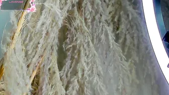 bridgetrodriguez cam xxx (12/28/2025)