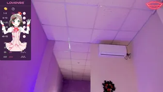 Bunnyshows 29-Dec-25