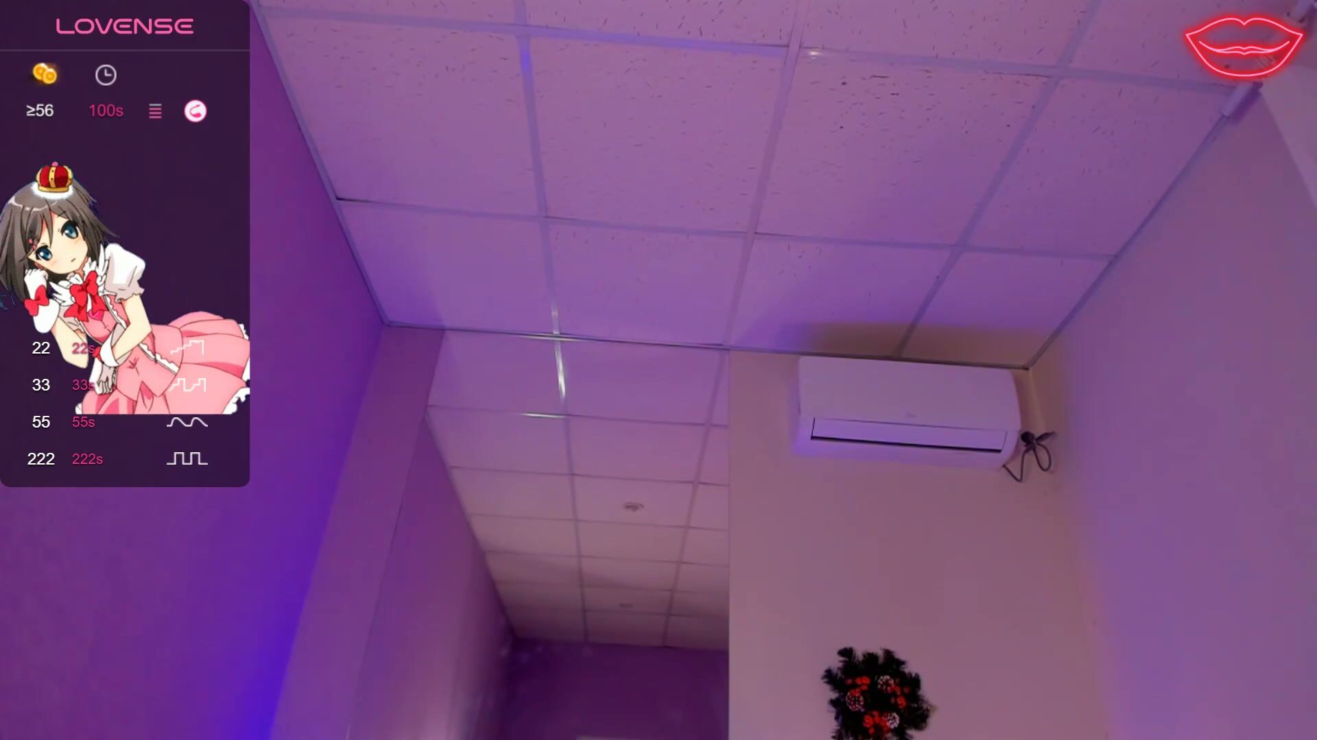 Bunnyshows 29-Dec-25