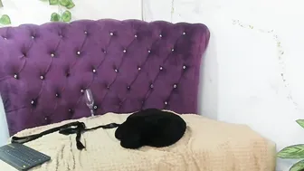 mia_monroy_ cam porn (12-30-2025)