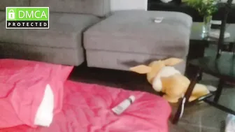 Minniesins squirt - (01/04/2026)