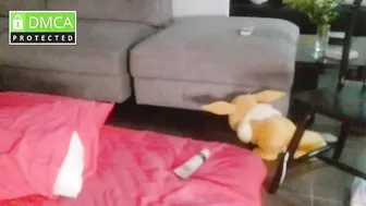 Minniesins squirt - (01/04/2026)