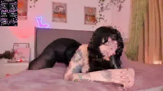 Whitekatze sex cam chat (01/04/2026)