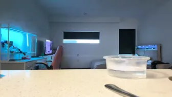 mskitty000 recorded nude video 545867
