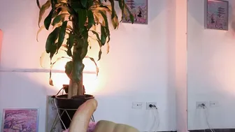 Im_perla_ porn xxx (01-08-2026)