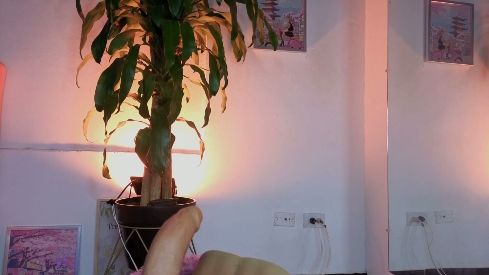 Im_perla_ porn xxx (01-08-2026)