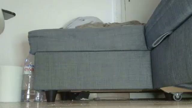 Wet_pants2022 live on cam 10 January 2026