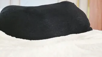 hornyjoy_ 01/11/2026