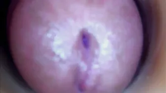 paulainoscente recorded nude video 57928