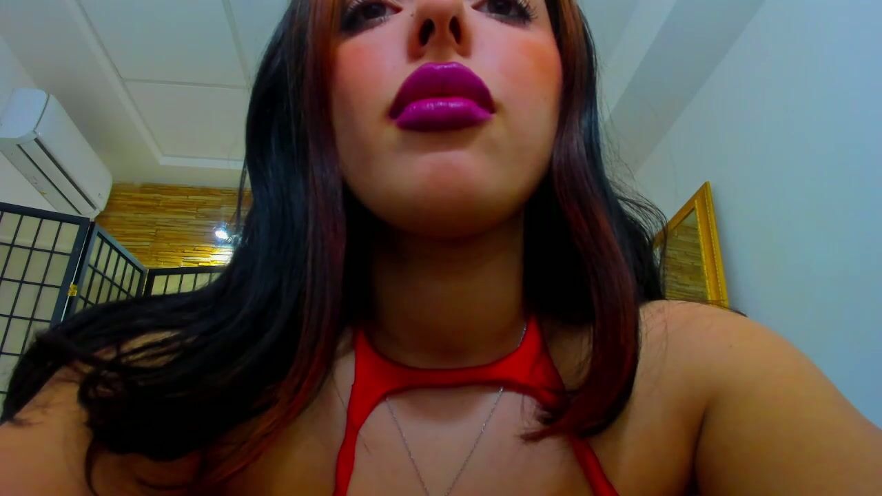 jelly_bee webcam (01-12-2026)