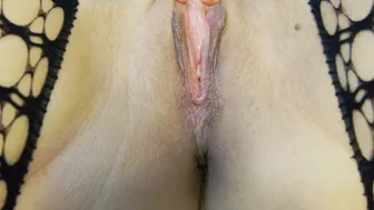 axarawilliams recorded nude video 579916