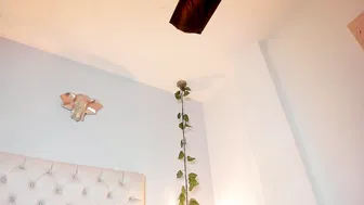 isabella_flowerss 01/17/2026