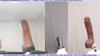 wynfreya anal cam