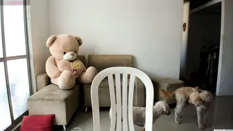 cataleyavives recorded nude video 61651