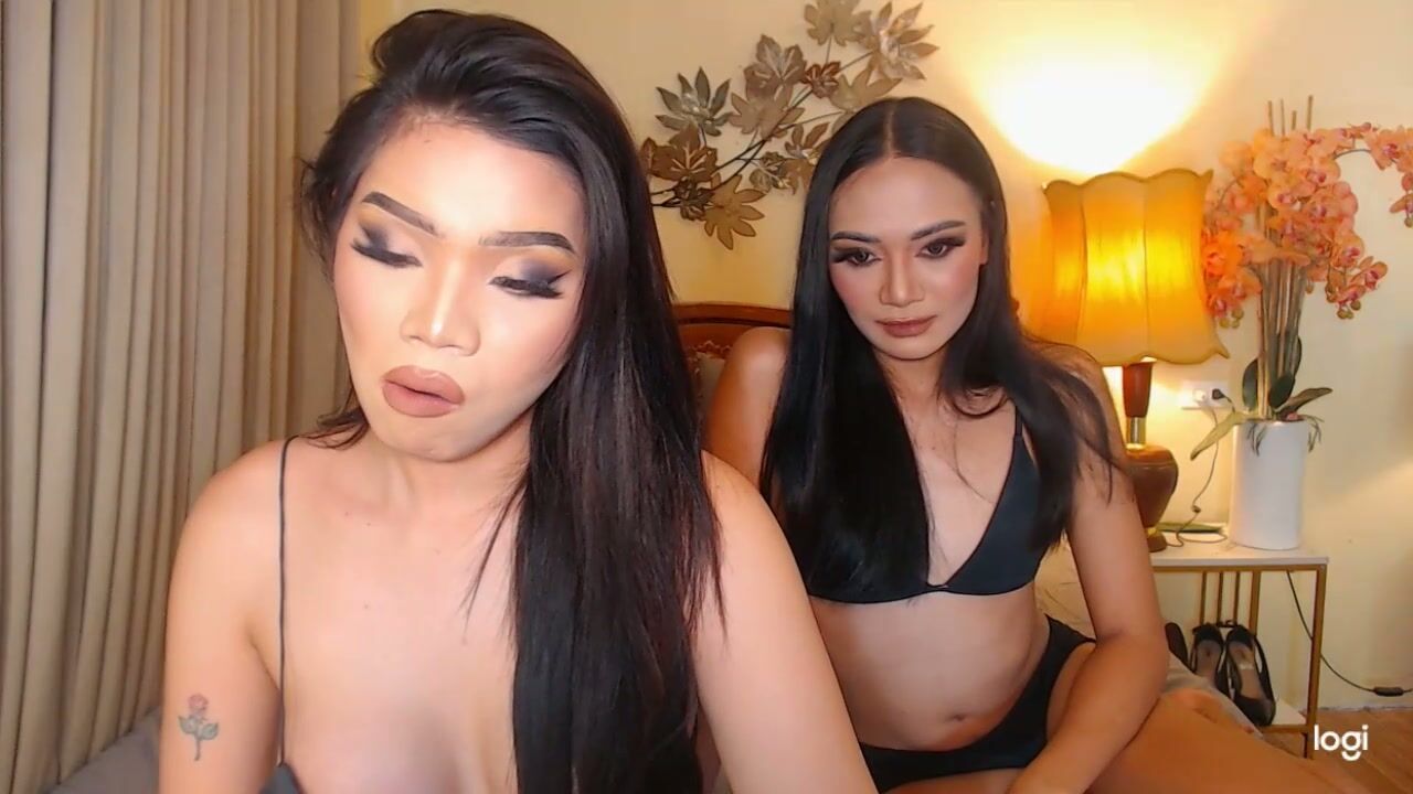 Haisleypalmer asian chat cam sex