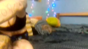 dexterjreg30 recorded nude video 619877