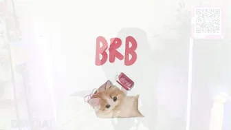 Mia_r0ss camvideo 25-Jan-26