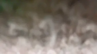 Submissivesouthernbelle222 shaved 25 January 2026