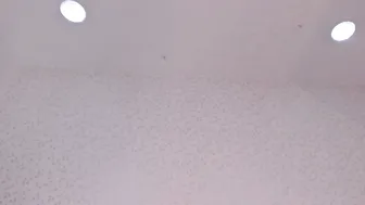 emily_carter18
