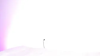 coupsextop recorded nude video 632534