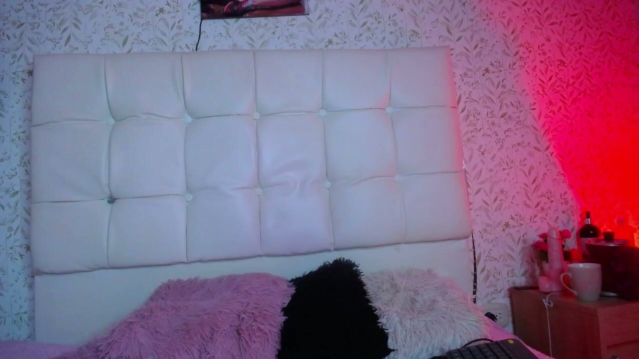 Antia_x latina - 01-29-2026