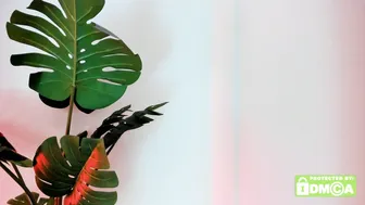Ashllovee_ asian - 29-Jan-26