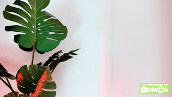 Ashllovee_ asian - 29-Jan-26