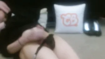 Hollyhawkes bimbo (01/30/2026)