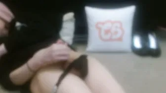 Hollyhawkes bimbo (01/30/2026)