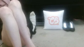 Hollyhawkes bimbo (01/30/2026)